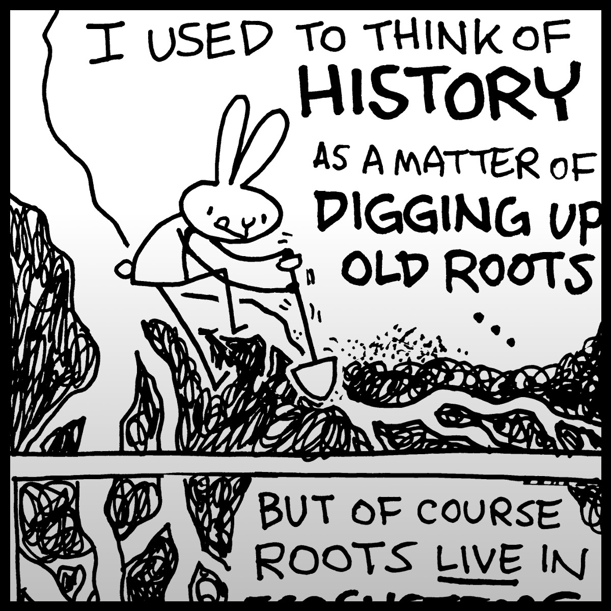 History: Roots & Branches